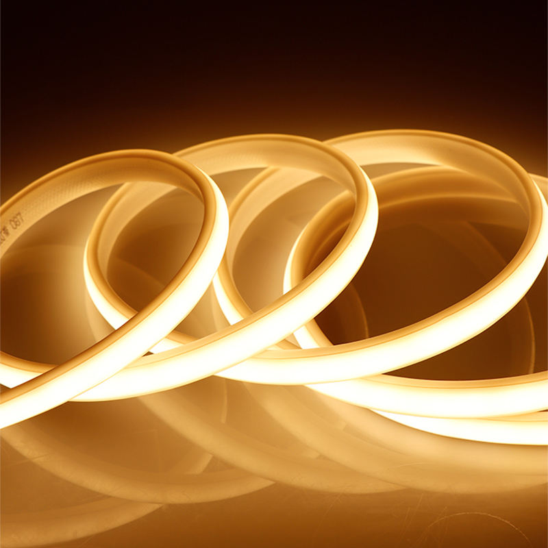 Flexible Neon LED Strip Light 12V Waterproof