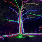 5m RGB Neon LED Strip | App & Remote Controlled Waterproof Flexible Rope Light